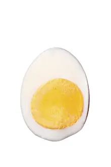 Close Up Egg Stampe: Halved egg