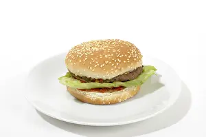 Hamburger Meal Stampe: Hamburger