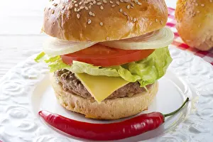 Cooked Dinner Ideas Stampe: Hamburger