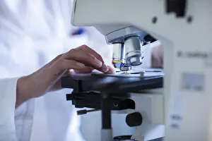 Female Lab Technician Stampe: Hand of a lab technician with microscope and sample working in a lab with light microscope