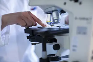Female Scientist At Work Stampe: Hand of a lab technician with microscope and sample working in a lab with light microscope