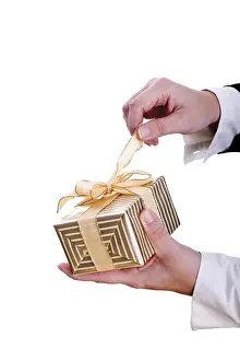 Holiday Gift Ideas Stampe: Hands opening a present