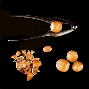 Hazelnut Nutrition Stampe: Hazel nuts with nutcracker