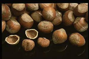 Hazelnut Nutrition Stampe: Hazelnuts