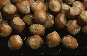 Empty Grocery Store Stampe: Hazelnuts