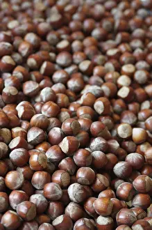 Close Up Hazelnuts Stampe: Hazelnuts