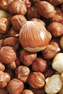 Full Format Food Photography Stampe: Hazelnuts, full format