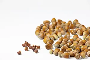 Studio Photography Of Nuts Stampe: Hazelnuts in and without shell