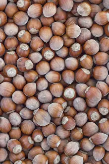 Vegan Grocery List Stampe: Hazelnuts. Stack of hazelnuts. Food background