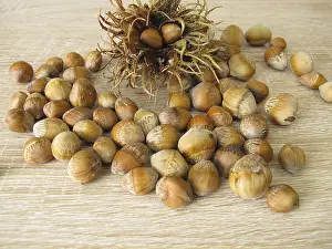 Fruit Stand Stampe: Hazelnuts from the tree hazel in the nutshell and a fruit stand