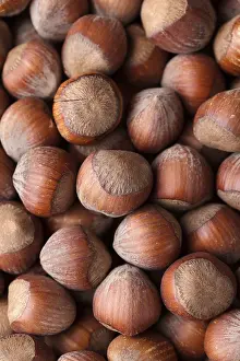 Empty Nature Scenes Stampe: Many whole hazels