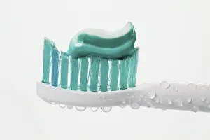 Oral Hygiene Stampe: Head of a toothbrush with toothpaste