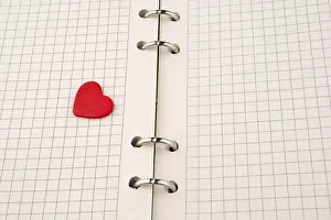 Symbolic Heart Picture Stampe: Heart on a checked notebook