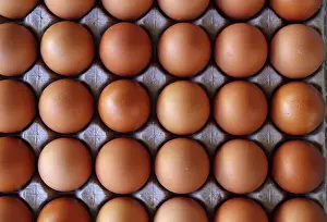 Grocery Store Display Stampe: Hen eggs rows pattern box food background