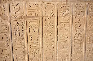 Uninhabited Ancient Civilization Stampe: Hierogliphic scripts engraved on a wall