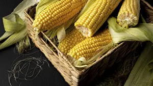 Thai Cuisine Images Stampe: High angle fresh corn composition