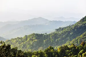 Central Thailand Nature Reserve Stampe: High angle view forest mountain