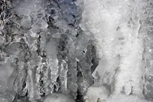 Wintry Landscape Photography Stampe: Ice