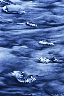 Ice Formations Stampe: Ice formations in a stream