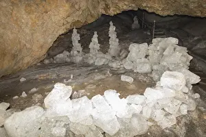 Frozen Landscape Europe Stampe: Ice in the Schellenberg Ice Cave