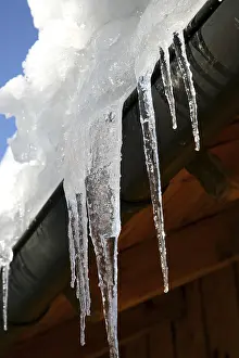 Icicle Formation Stampe: Icicle