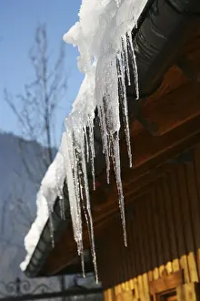 Winter Season Images Stampe: Icicle