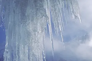 Close Up Icicles Stampe: Icicles