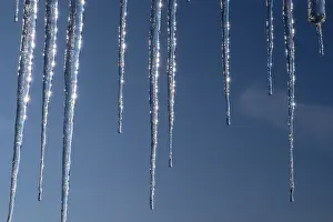 Winter Wonderland Stampe: Icicles