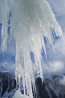 Icicles Close Up Stampe: Icicles