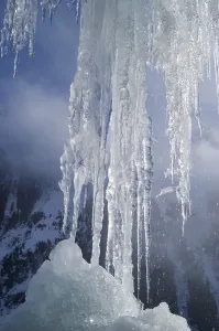 Close Up Icicles Stampe: Icicles