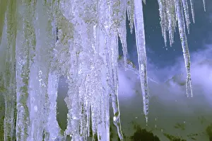 Ice Crystal Formations Stampe: Icicles