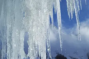 Icicles Close Up Stampe: Icicles