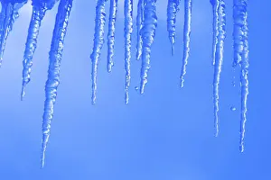 Frozen Landscape Stampe: Icicles
