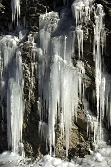 Cold Temperature Photography Stampe: Icicles