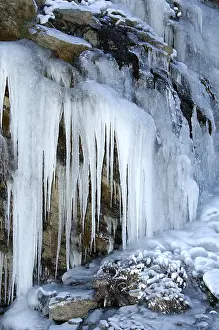 Winter Nature Scenes Stampe: Icicles