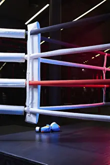 Boxing Ring Concept Stampe: Image of a boxing ring without anyone