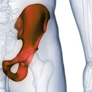 Joint Pain Diagnosis Stampe: Image converted using ifftoany