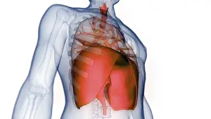 Body Part Inspection Stampe: Image converted using ifftoany