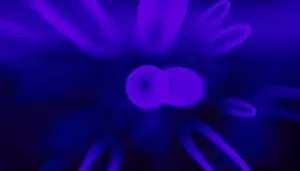 Vibrant Abstract Artwork Stampe: This image features a vivid 3D render of abstract
