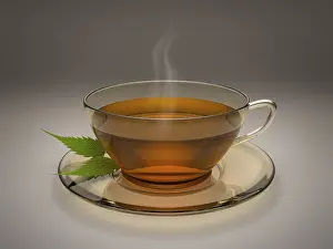 Hot Beverage Image Stampe: An image of a nice cup of tea