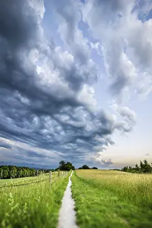 Evening Sky Mood Stampe: An image of a path to the evening sky