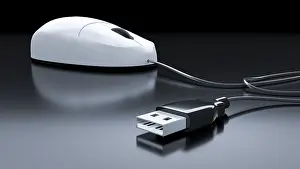 Personal Computer Accessories Stampe: An image of a typical computer mouse