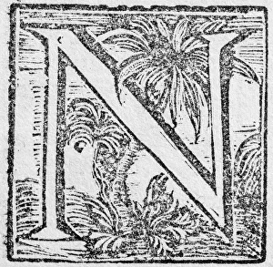 Historic American Illustration Stampe: Initial or an initial N, decorative initial letter