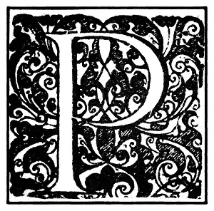 Colorful Botanical Prints Stampe: Initial or an initial P, ornamental initial letter