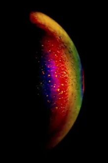 Natural Scientific Research Stampe: Interference of equal thickness