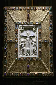 Octodontidae Stampe: Visuale interna, copertina del libro, Codex Aureus.