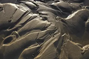 Nature Reserve Germany Stampe: Irregular structures in the mud flats