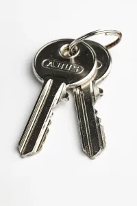 Light Colored Background Stampe: Key ring with two keys on a key ring