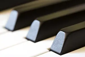 Black And White Studio Photography Stampe: Keyboard