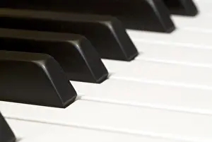 Black And White Studio Photo Stampe: Keyboard